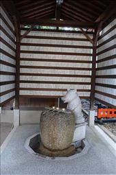 Go'o Shrine water fountain, Kyoto: by krodin, Views[204]