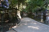 Nara: by krodin, Views[147]