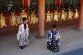 kids in samurai clothing at Nara: by krodin, Views[231]