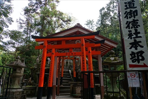 Inari Shrine in the woods with Torii