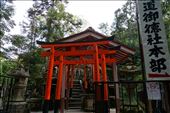 Inari Shrine in the woods with Torii: by krodin, Views[310]