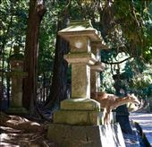 Nara: by krodin, Views[182]