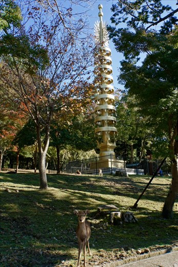 Deer Park, Nara