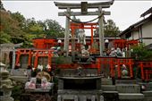 Hacherei Shrine, Inari (to the deities of the zodiac): by krodin, Views[96]