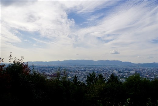 View from Mt. Inari