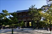 main gate for Todaiji Shrine, Nara: by krodin, Views[177]