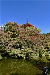 Kiyomizu Dera, Kyoto: by krodin, Views[165]