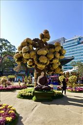 Yogyesa Chrysanthemum Festival: by krodin, Views[208]