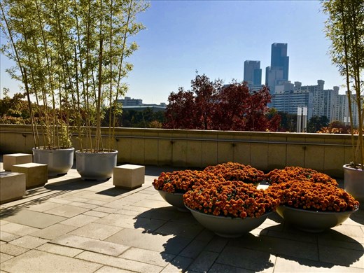 National Museum Terrace