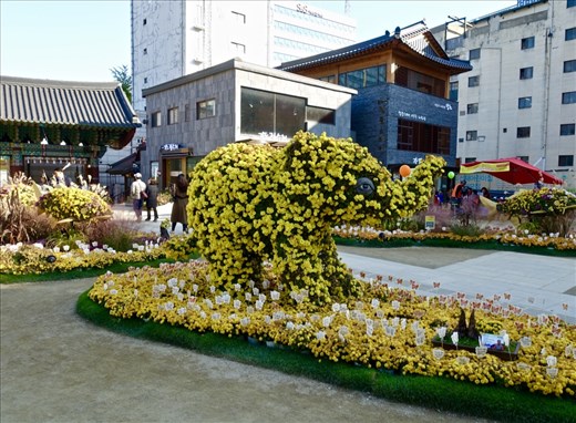 Jogyesa Chrysanthemum Festival