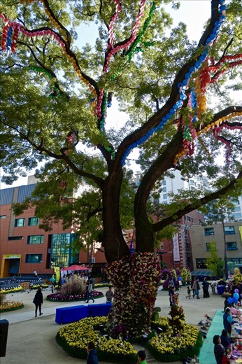 Chrysanthemum Festival Tree