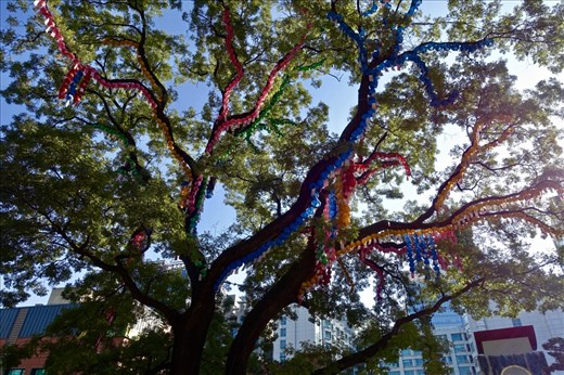 Chrysanthemum Festival Tree
