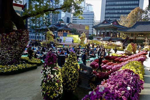 Yogyesa Chrysanthemum Festival
