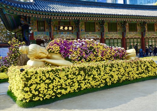 Jogyesa Chrysanthemum Festival