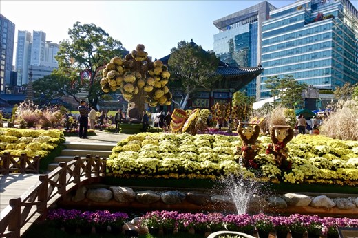 Yogyesa Chrysanthemum Festival