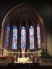 Stain glass in Notre Dame: by krodin, Views[303]