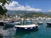 Budva harbor: by krodin, Views[239]