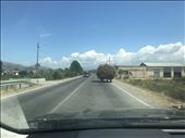 Sharing the road: by krodin, Views[218]