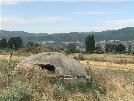 non-painted dugout, beach by Pogradec