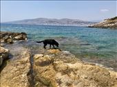Nori playing catch-the-crab at Heaven Beach, with Sarande in the distance: by krodin, Views[160]