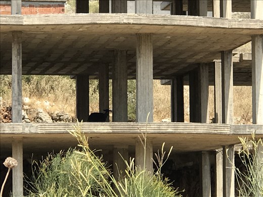 four legged invaders in abandoned construction near Sarande