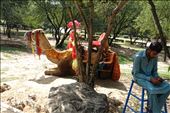 Rides and Attractions, Danan-E-Koh,
Islamabad: by krodin, Views[344]