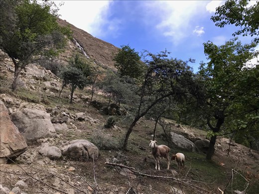 Residents near the trail to Victoria's Seat, Karimabad