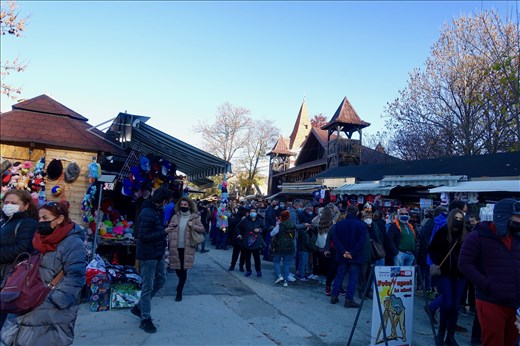line getting into Dracula's Castle on Halloween