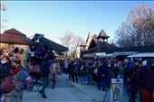 line getting into Dracula's Castle on Halloween: by krodin, Views[138]