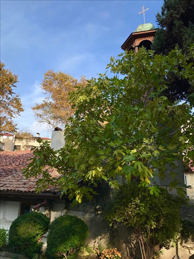 outside Dormition Church