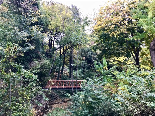 Lush vegetation in Sea Garden