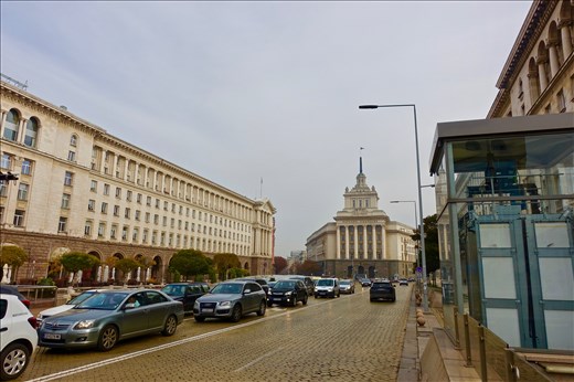 Sophia looks on the government buildings