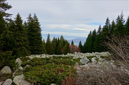 view from Mt. Vitosha