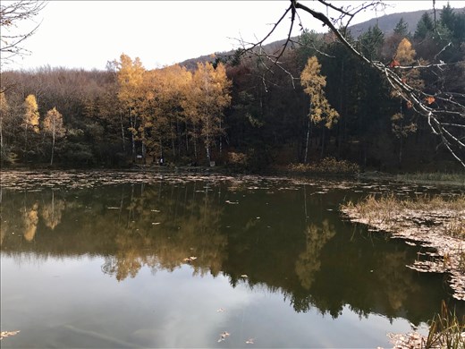 Boyana Lake in November