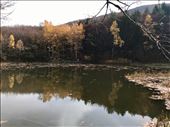 Boyana Lake in November: by krodin, Views[245]