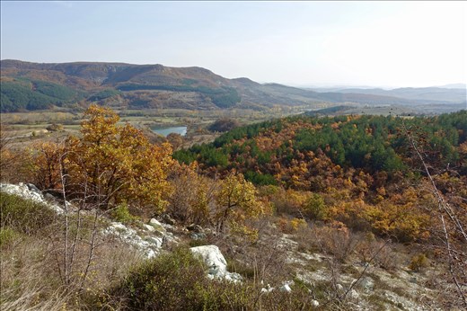 View from Temple grounds