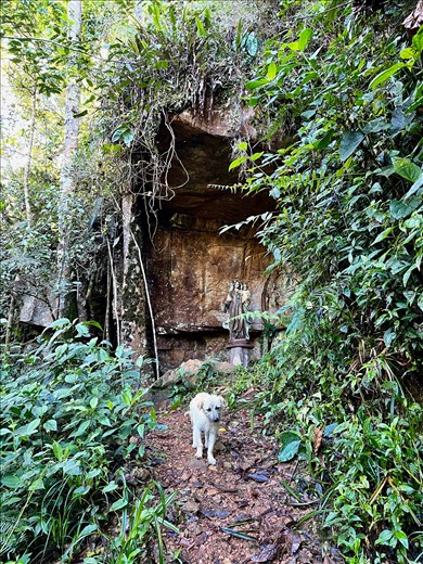 picked up a friend on 