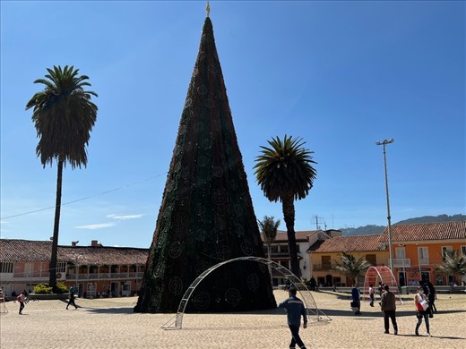 Xmas tree and palm trees in main square Zipaquira