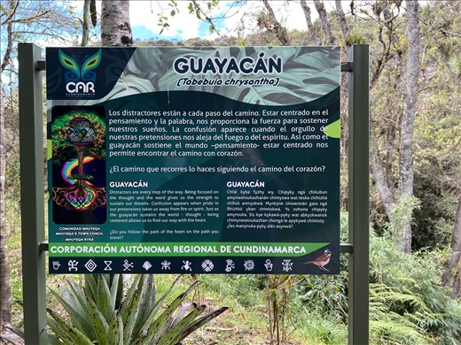 explanation in three languages