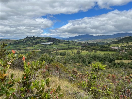 view from hill above the laguna