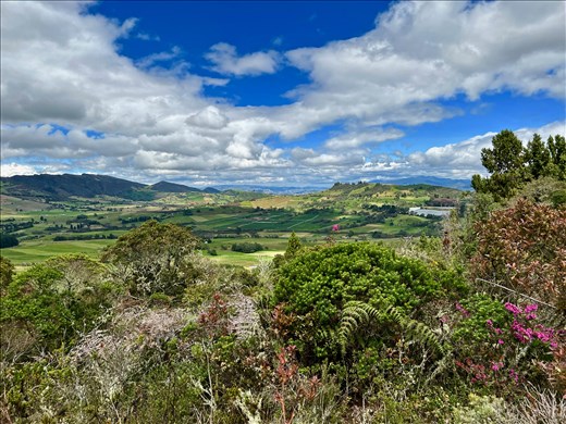 view of potato farms from above the laguna