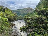Magdalena River Strait: by krodin, Views[147]