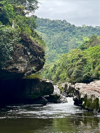 Maria in the hill behind the trees overlooking the Magdalena River Strait