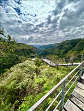 Path to Magdalena River La Chaquira overlook: by krodin, Views[130]