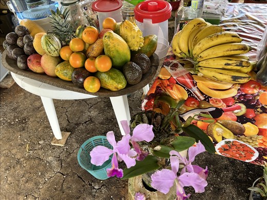 flowers in coffee shop by La Pelota