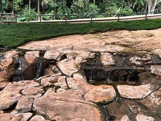 Lavapatas ?Birthing area?