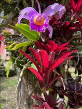 by krodin, Views[139]