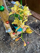 by krodin, Views[153]