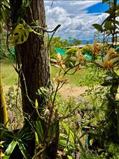 by krodin, Views[140]