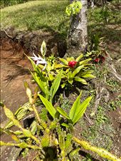 by krodin, Views[136]